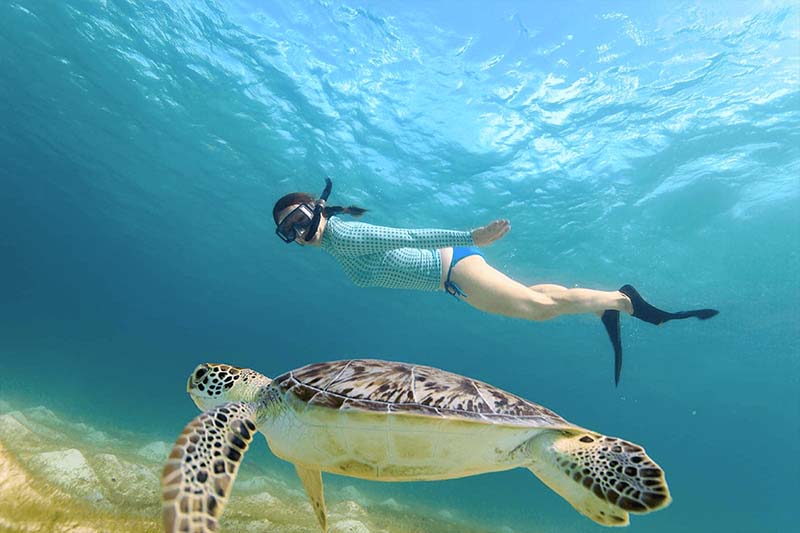 Snorkeling & Sightseeing Cruises | Nakas Blue